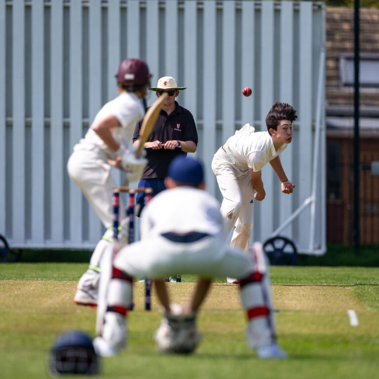 cricket action shot