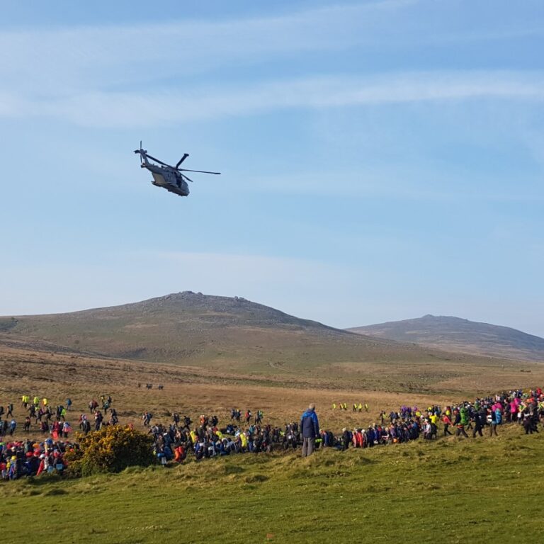 helicopter in a field